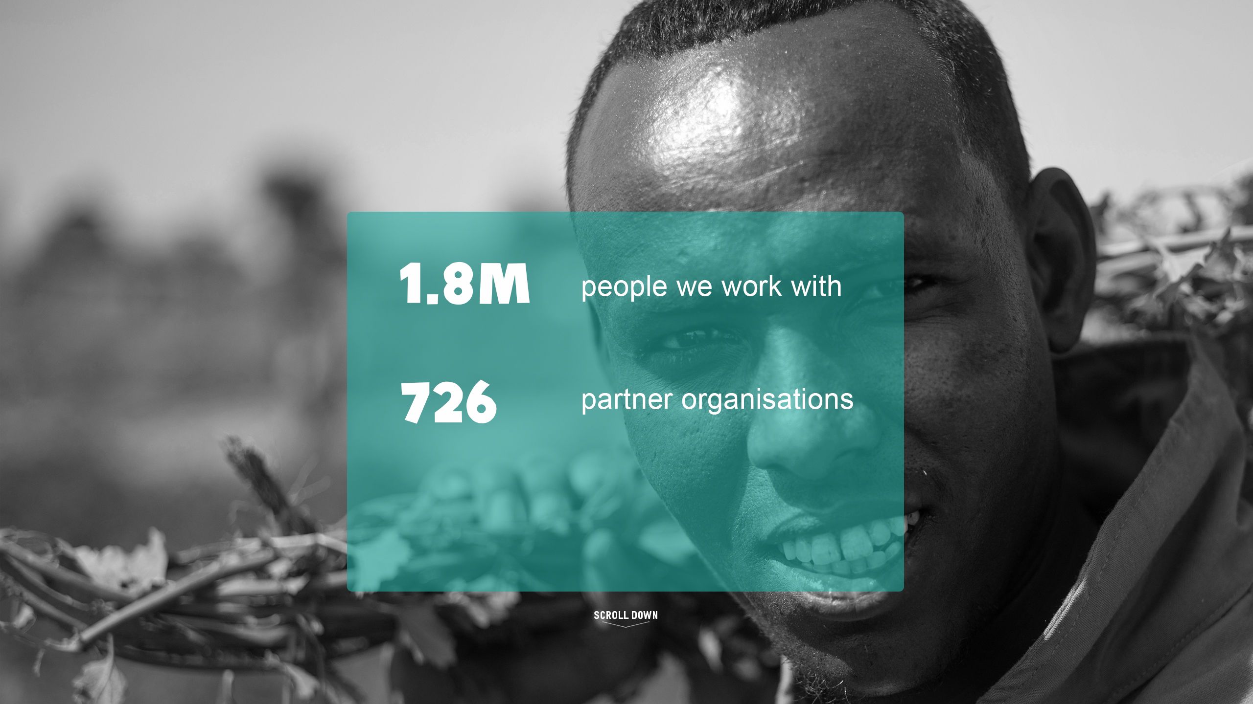 726 partner organisations