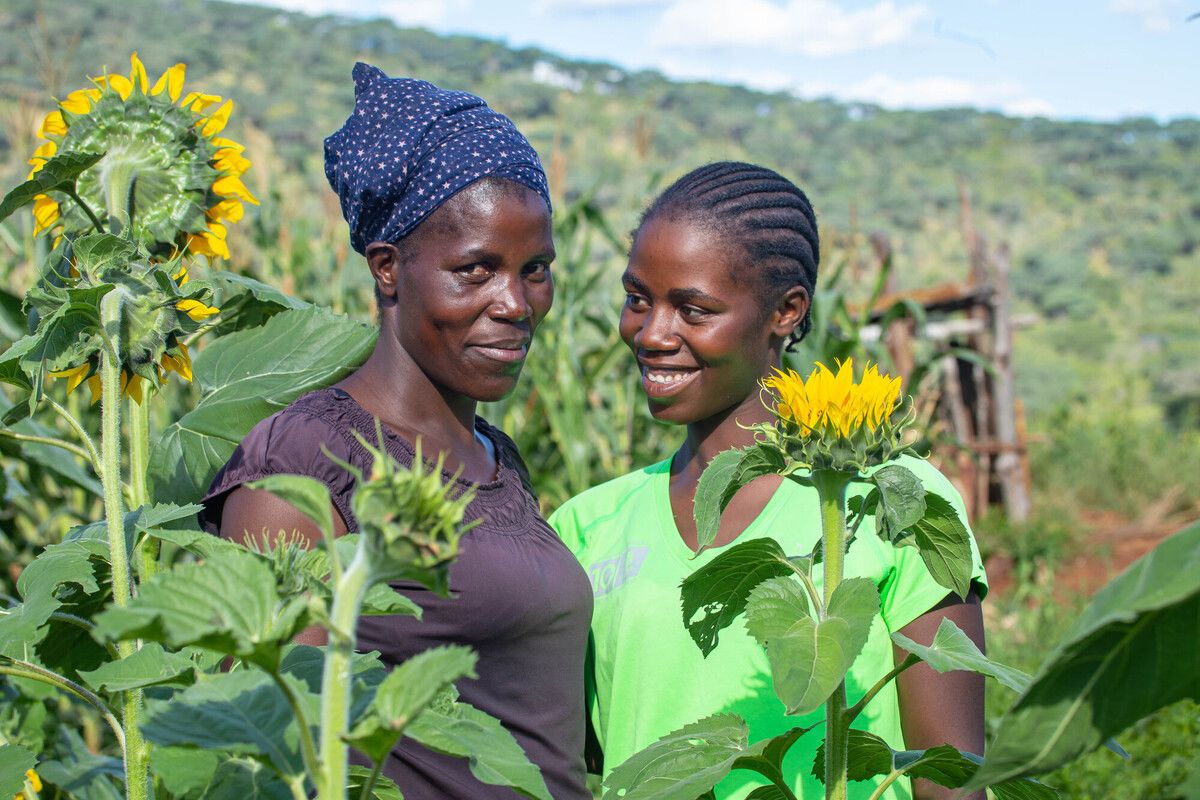 Beata and her mother in a sunflower patch in Zimbabwe
