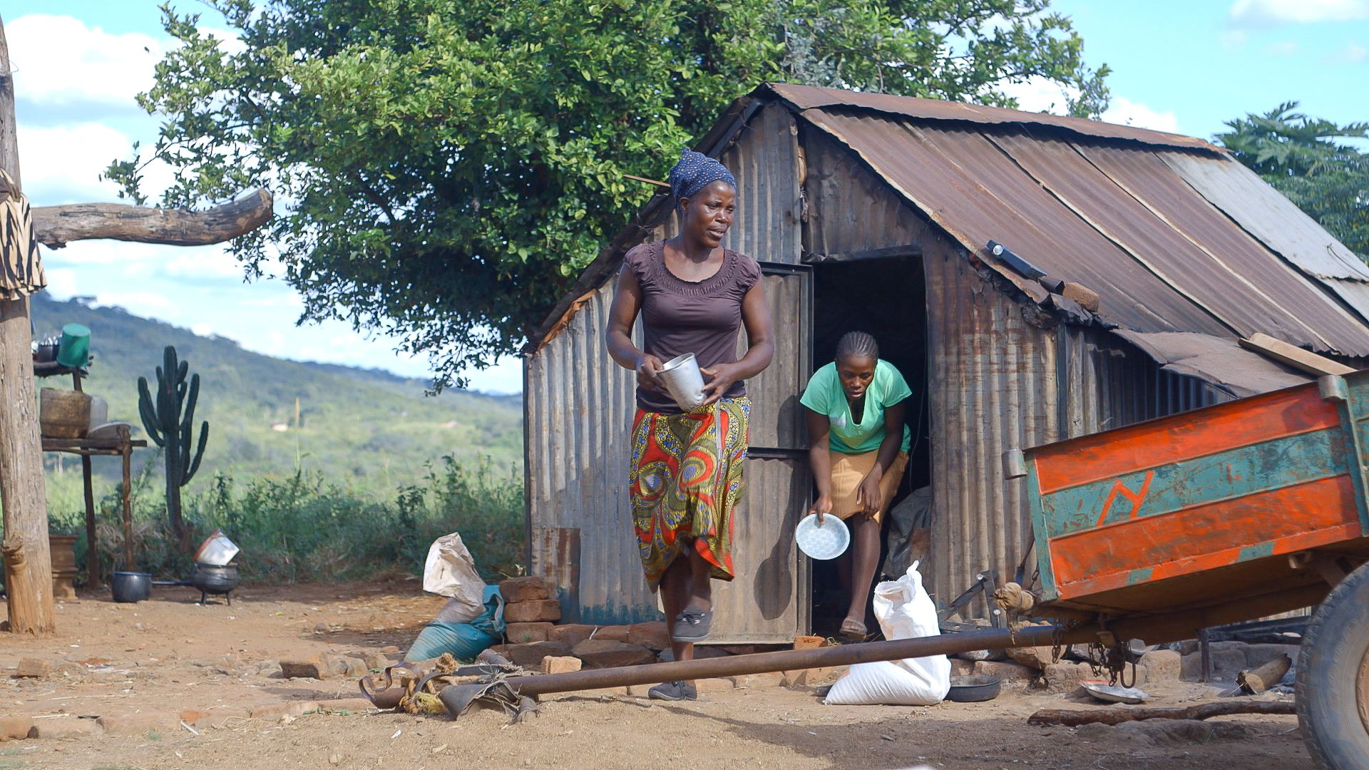 Beata and her mother preparing to feed their chicks.