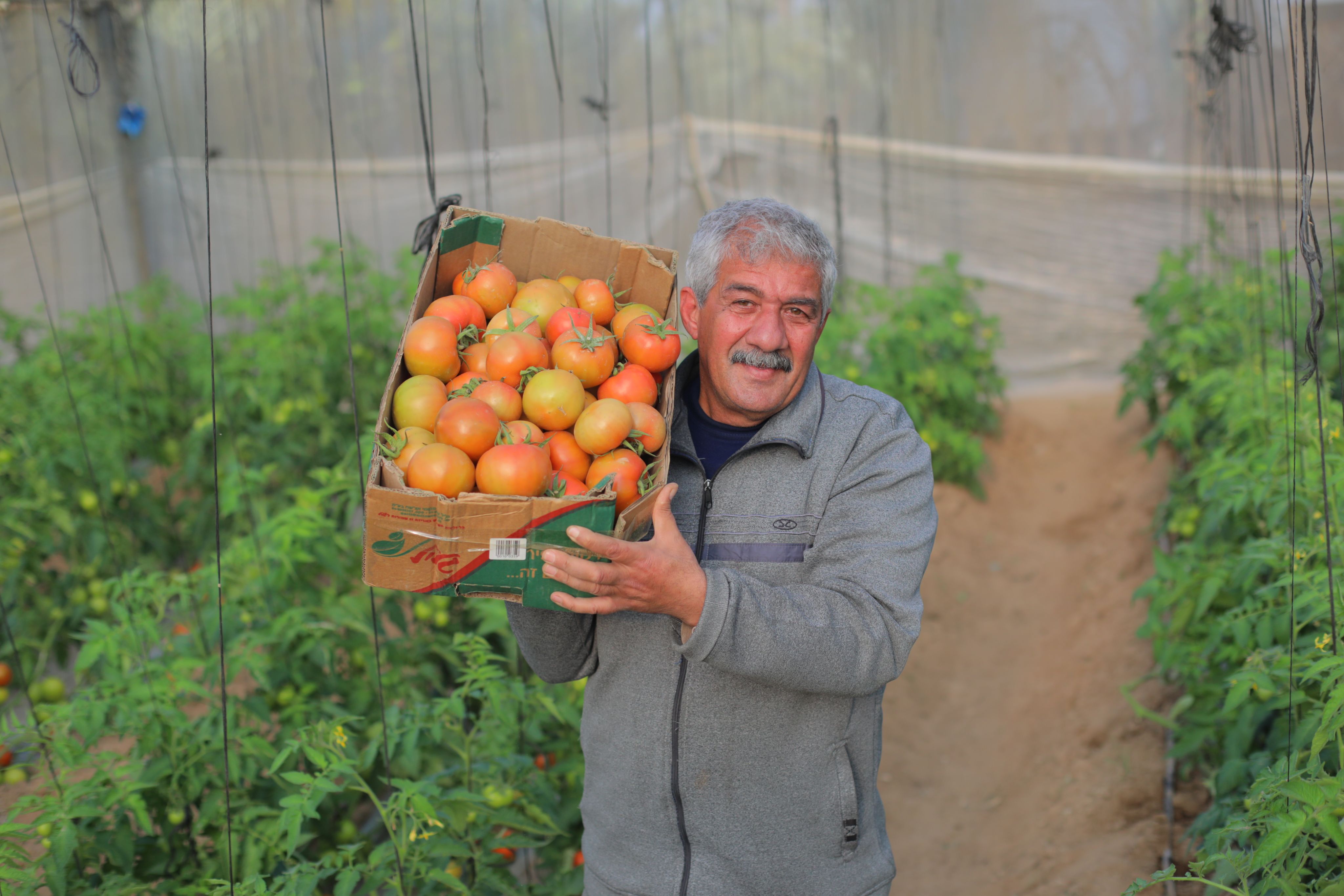 Mahmoud is a dedicated farmer and father of four. Although he graduated with a degree in Economics, limited job opportunities in Gaza led him to agriculture, where he has worked for five years.