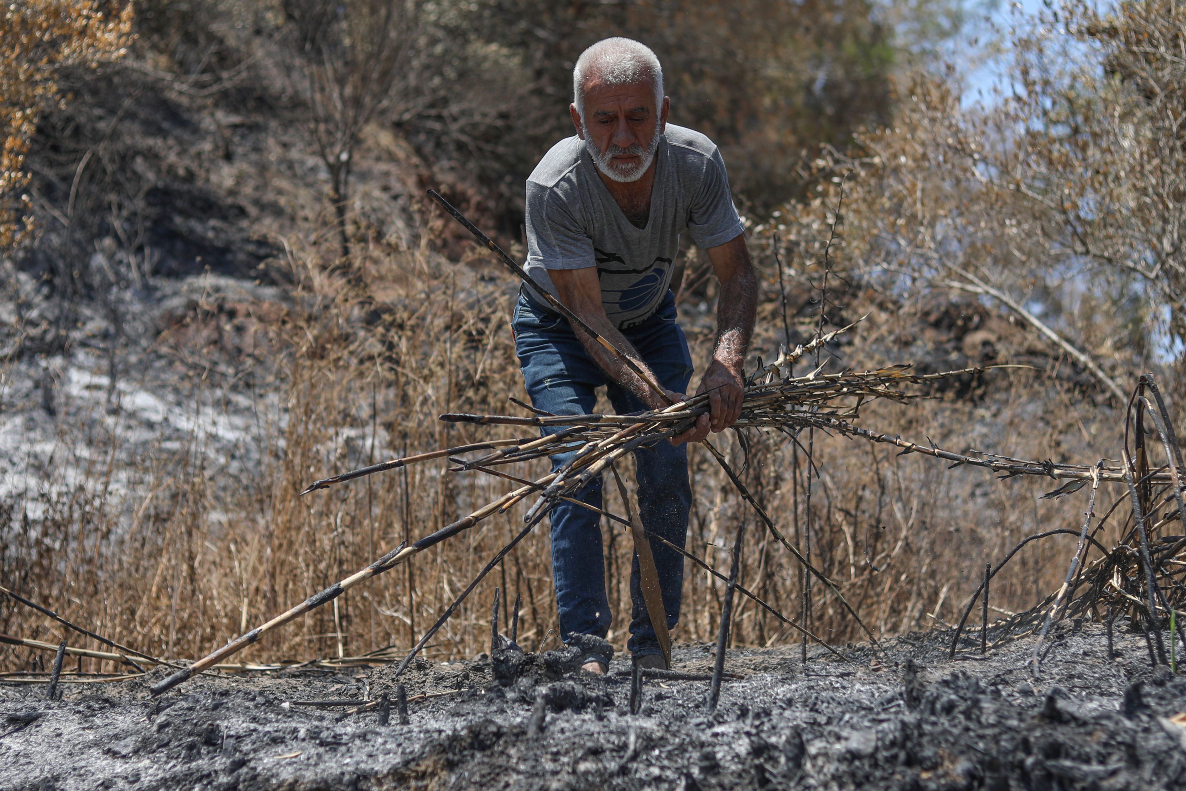 Zaki* picking up sticks in a burned area near his home in Syria.