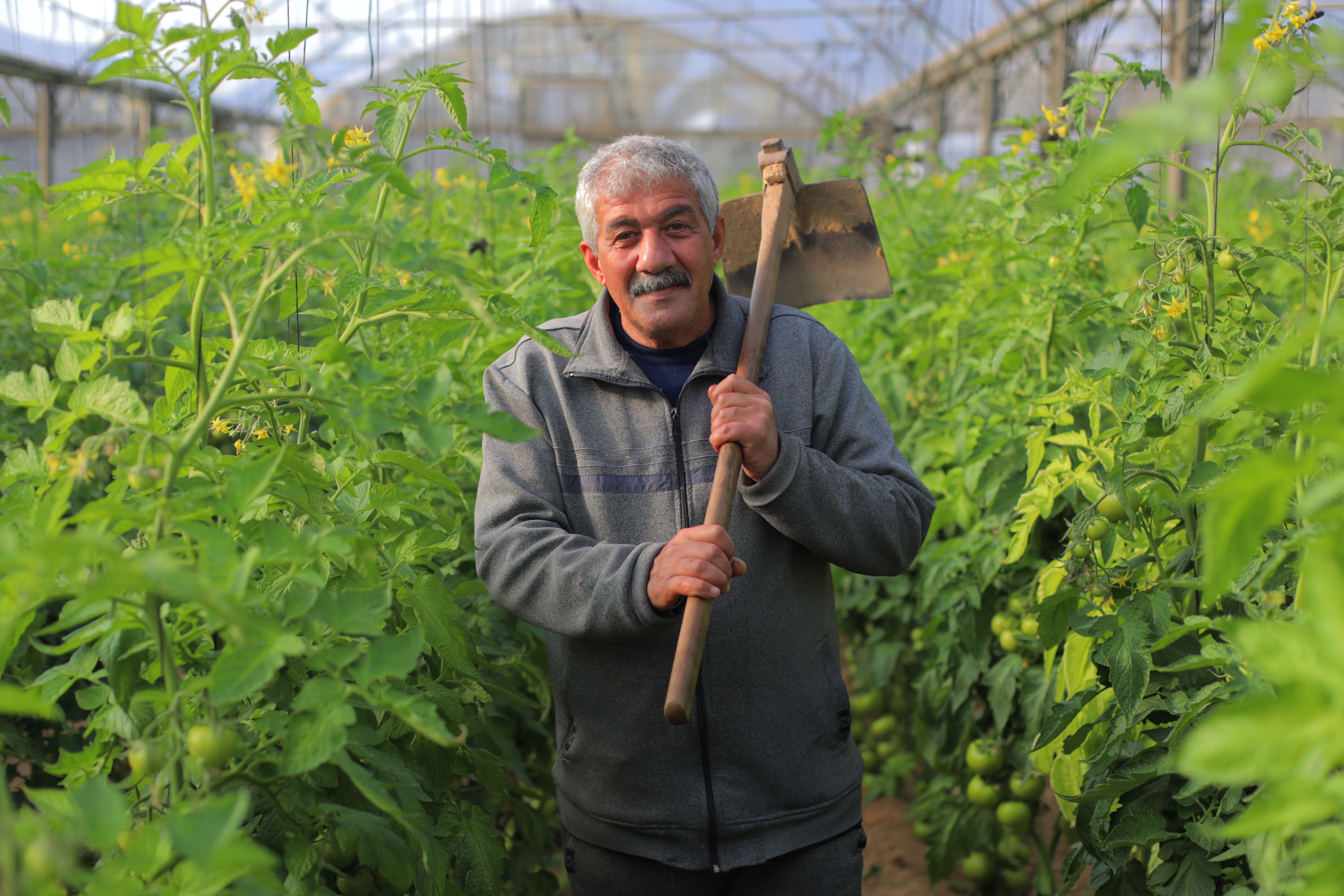 Mahmoud is a dedicated farmer and father of four. Although he graduated with a degree in Economics, limited job opportunities in Gaza led him to agriculture, where he has worked for five years.